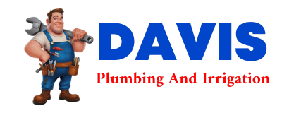 Trusted plumber in TIMBERON